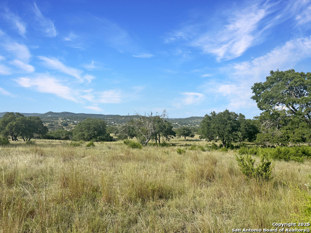 Image 6 of 20 For Lot 42 Blackbuck