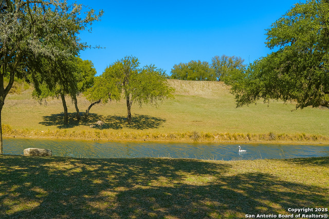 Image 7 of 20 For Lot 42 Blackbuck