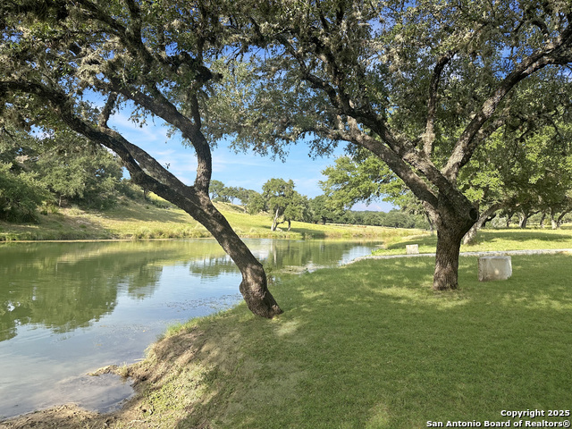 Image 8 of 20 For Lot 42 Blackbuck