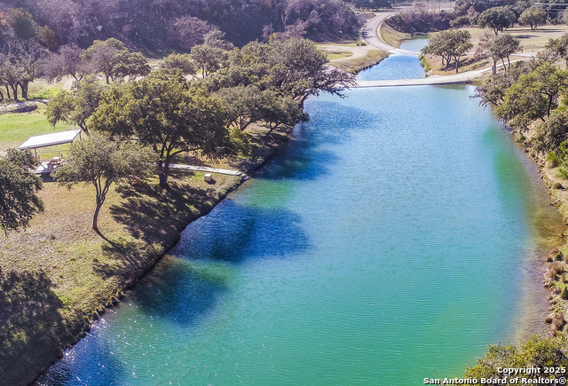 Image 9 of 20 For Lot 42 Blackbuck