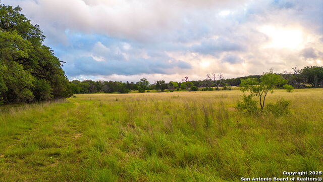 Image 16 of 21 For 2186 Fm 470  