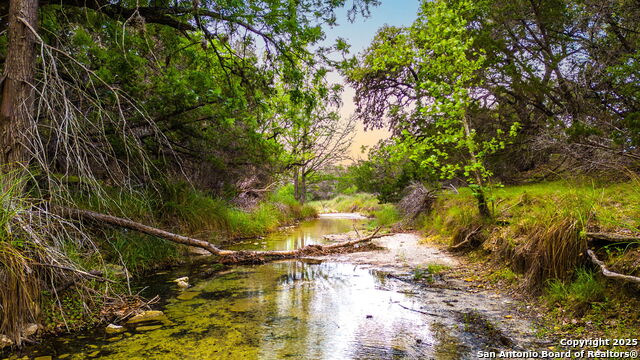 Image 2 of 21 For 2186 Fm 470  