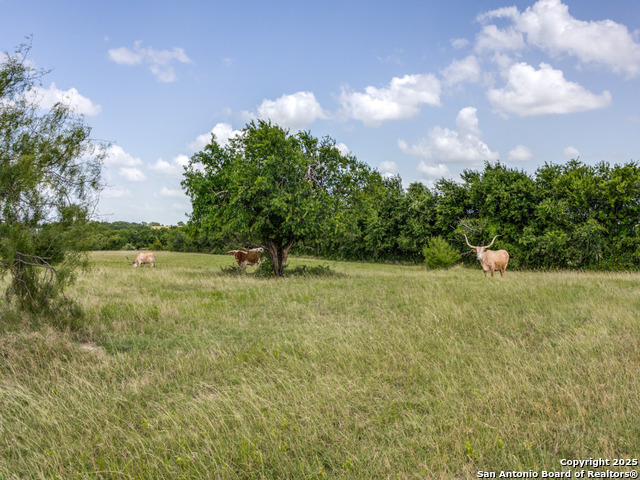 Image 20 of 21 For 2186 Fm 470  