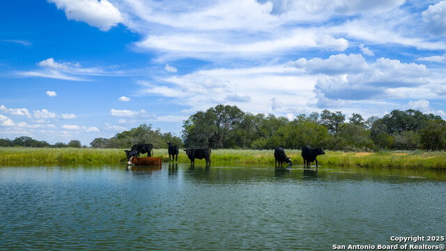 Image 20 of 50 For 2992 County Road 7711