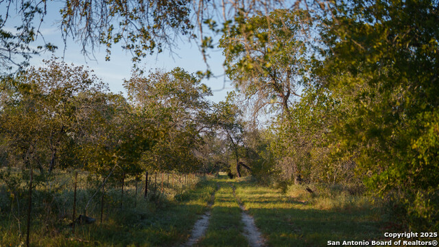 Image 21 of 50 For 2992 County Road 7711