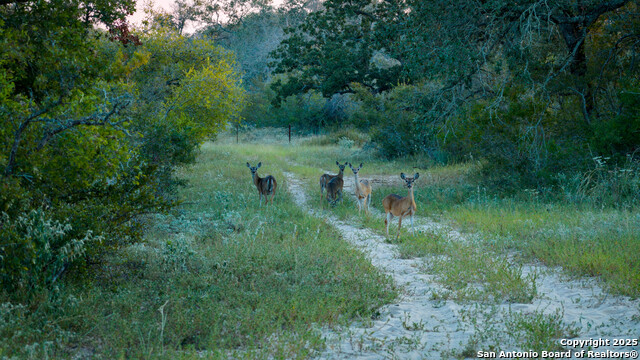 Image 38 of 50 For 2992 County Road 7711