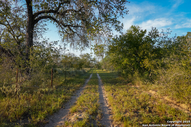 Image 39 of 50 For 2992 County Road 7711