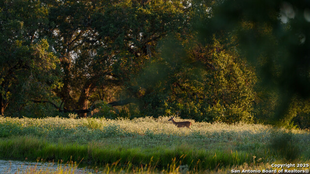 Image 44 of 50 For 2992 County Road 7711