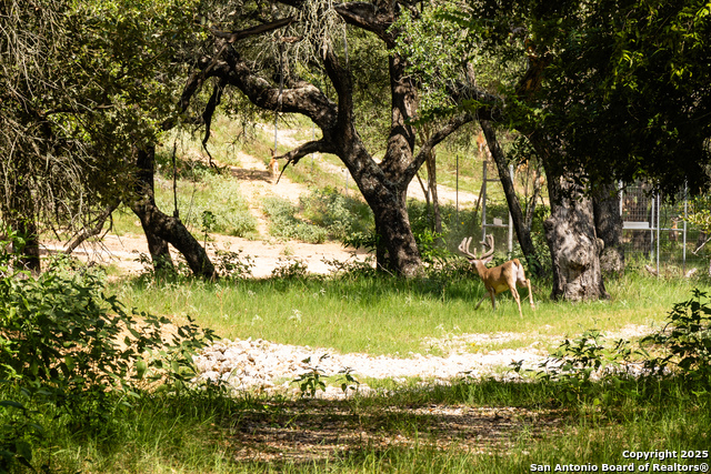 Image 2 of 53 For 8841 Fm 775