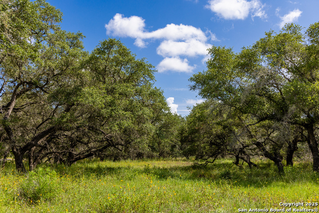 Image 23 of 53 For 8841 Fm 775