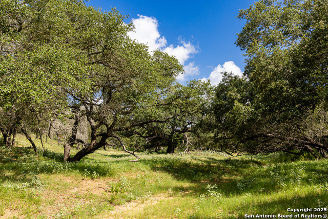 Image 25 of 53 For 8841 Fm 775