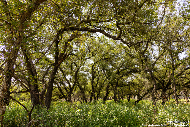 Image 27 of 53 For 8841 Fm 775