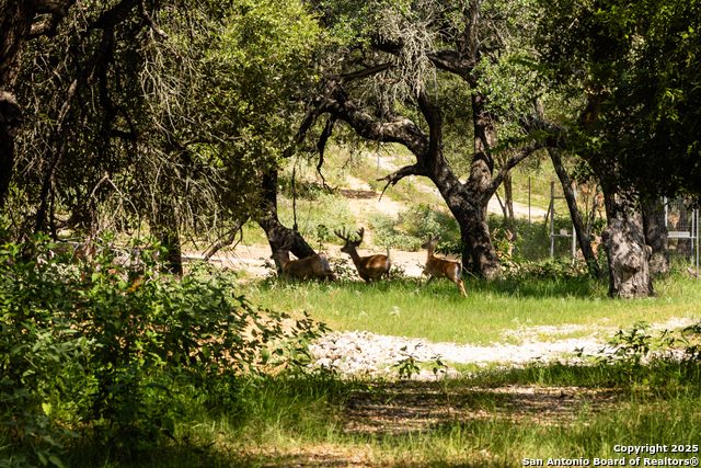 Image 3 of 53 For 8841 Fm 775