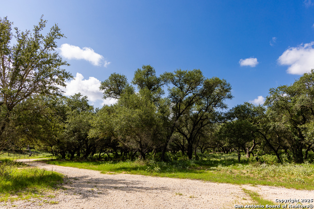 Image 31 of 53 For 8841 Fm 775