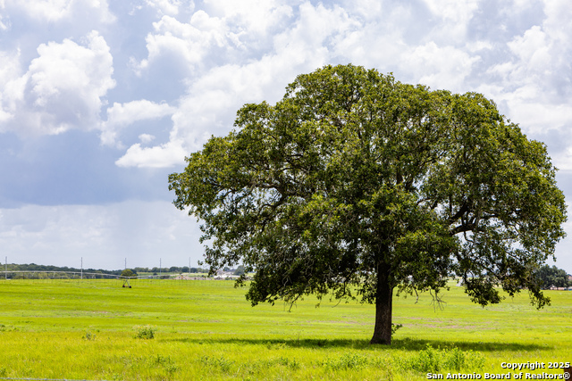 Image 48 of 53 For 8841 Fm 775