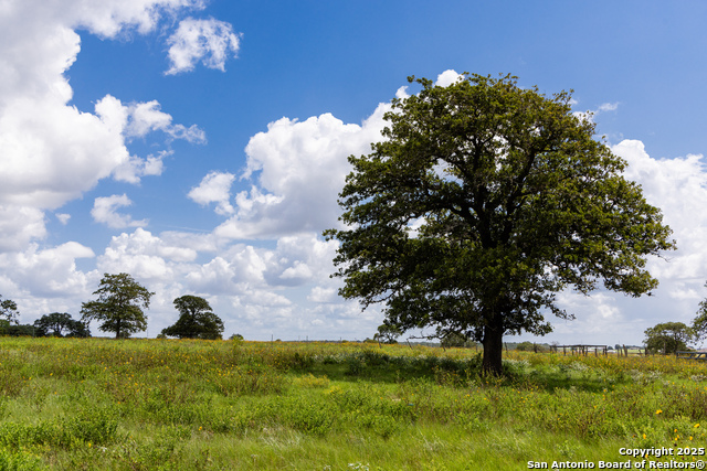 Image 49 of 53 For 8841 Fm 775