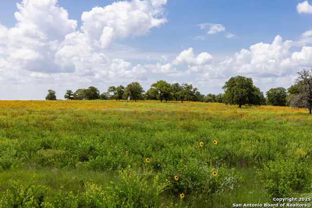 Image 50 of 53 For 8841 Fm 775