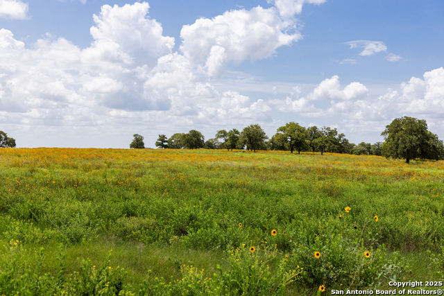 Image 53 of 53 For 8841 Fm 775