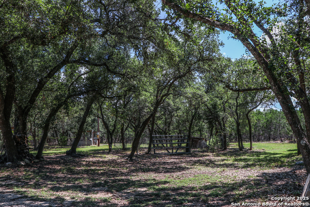 Image 19 of 22 For 310 Remington