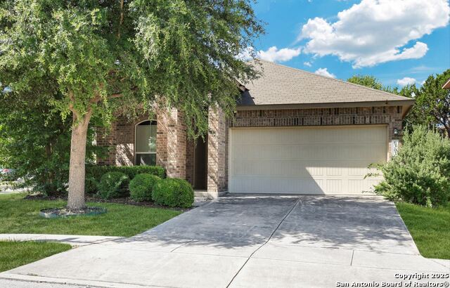 Details for 6303 Black Bear, San Antonio, TX 78253