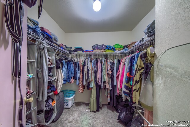 Image 14 of 25 For 9519 Sekula Drive