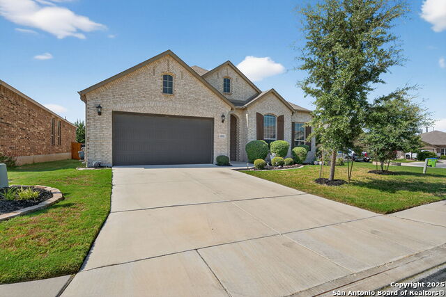 Image 39 of 39 For 12332 Saddle Up