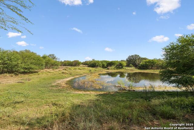 Image 21 of 28 For 961 County Road 327