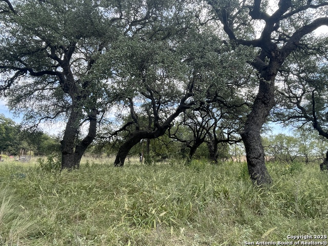 Image 4 of 15 For 1350 Industrial