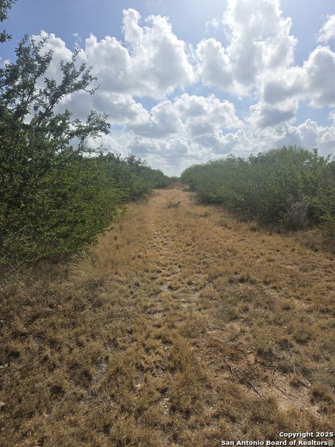 Details for 000 Cr 170 , Alice, TX 78332