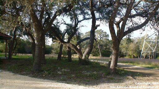 Listing photo id 1 for 326 State Highway 46 E