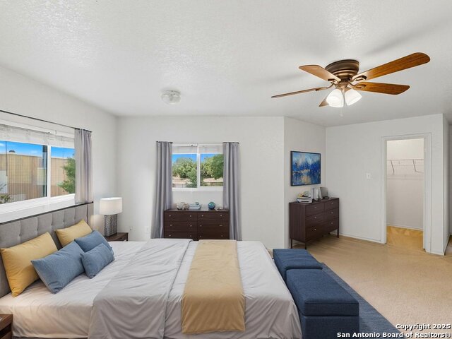 Listing photo id 11 for 3223 Crested Creek