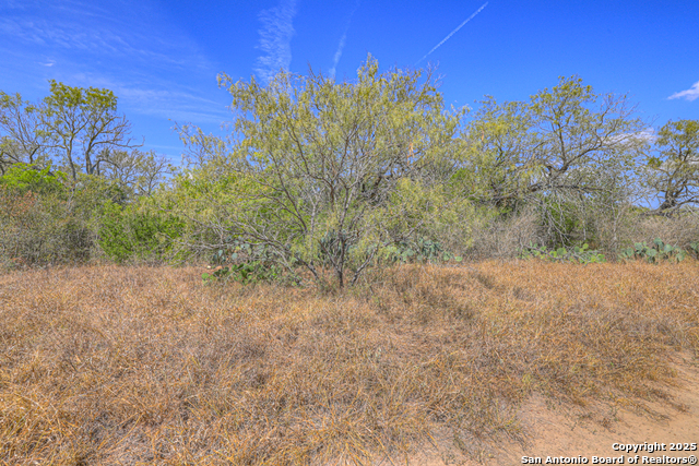 Image 17 of 22 For 445 Single Oak Rd