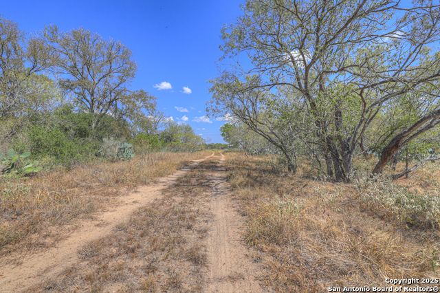 Image 19 of 22 For 445 Single Oak Rd