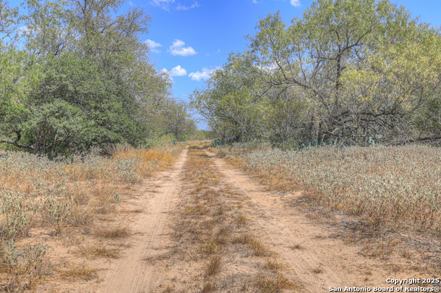 Image 21 of 22 For 445 Single Oak Rd