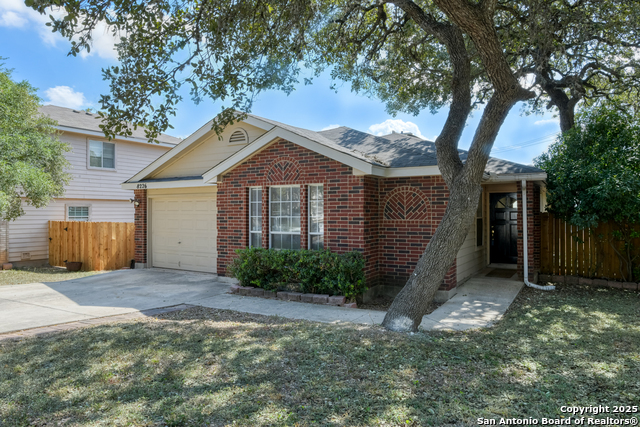 Image 15 of 26 For 8226 Shooting Quail