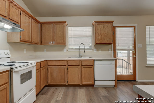 Image 17 of 26 For 8226 Shooting Quail