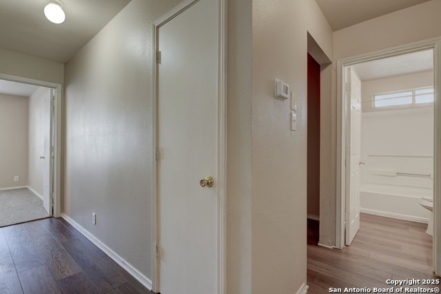 Image 20 of 26 For 8226 Shooting Quail