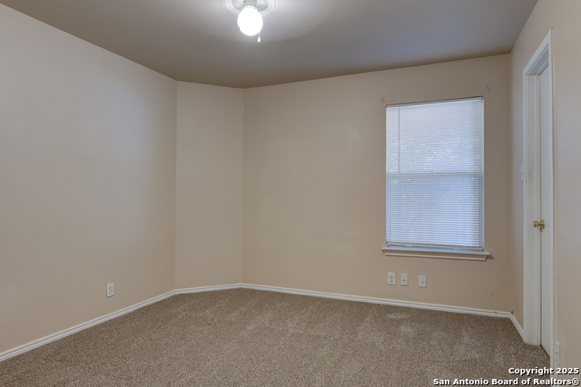 Image 21 of 26 For 8226 Shooting Quail