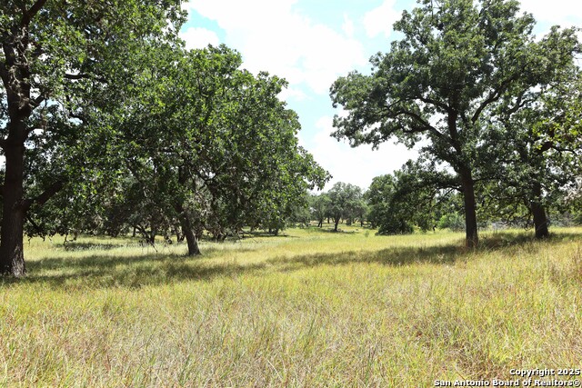 Details for Lot 31 Orchard Park Blvd, Medina, TX 78055