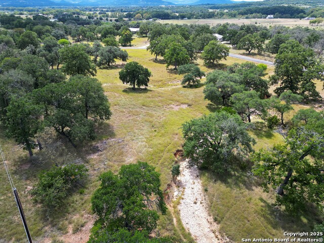 Image 12 of 16 For Lot 31 Orchard Park Blvd