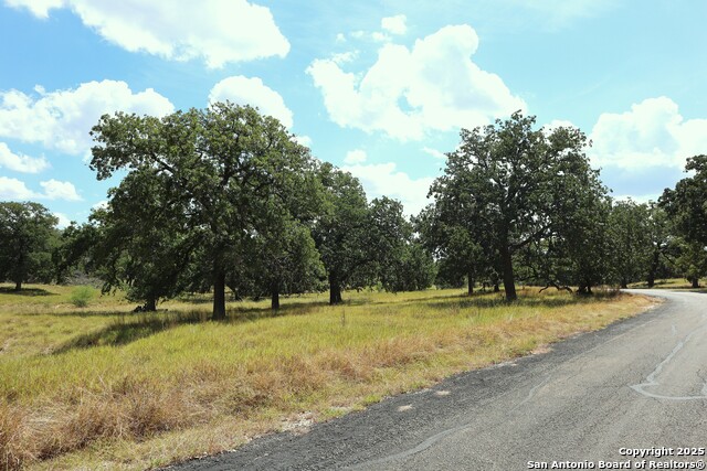 Image 15 of 16 For Lot 31 Orchard Park Blvd