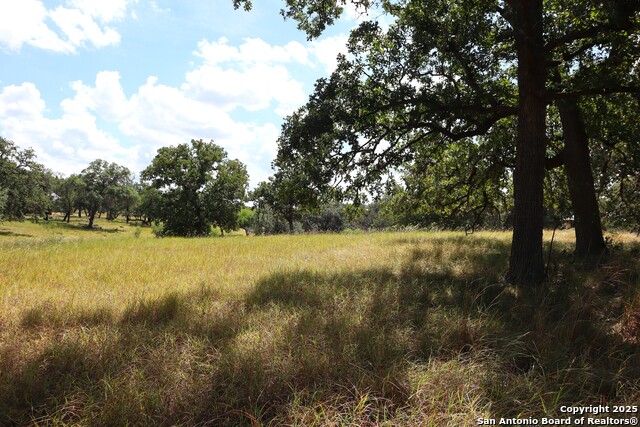 Image 2 of 16 For Lot 31 Orchard Park Blvd