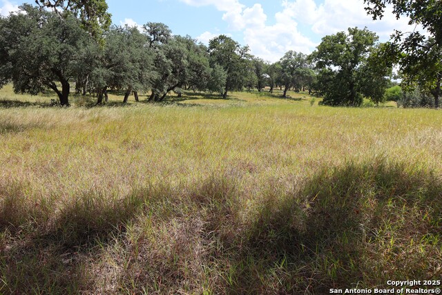 Image 7 of 16 For Lot 31 Orchard Park Blvd