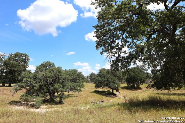 Image 8 of 16 For Lot 31 Orchard Park Blvd