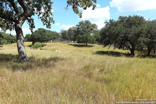 Image 9 of 16 For Lot 31 Orchard Park Blvd