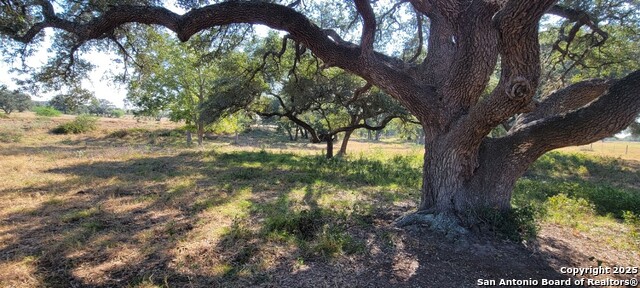 Listing photo id 8 for 1167 County Road 380