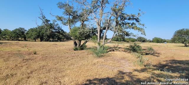 Listing photo id 3 for 1167 County Road 380