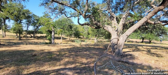 Listing photo id 4 for 1167 County Road 380