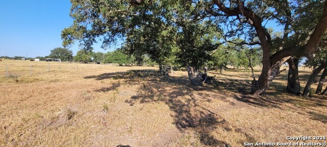 Listing photo id 5 for 1167 County Road 380