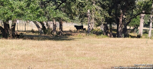 Listing photo id 6 for 1167 County Road 380